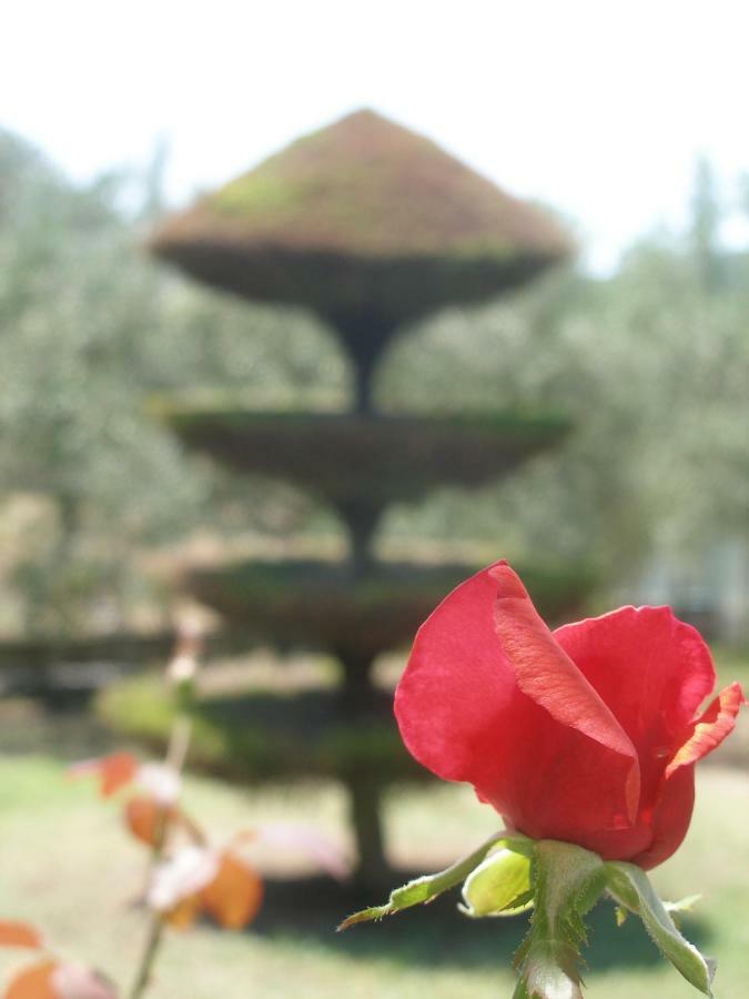 Green Leaves Villa Nea Iraklitsa Екстериор снимка